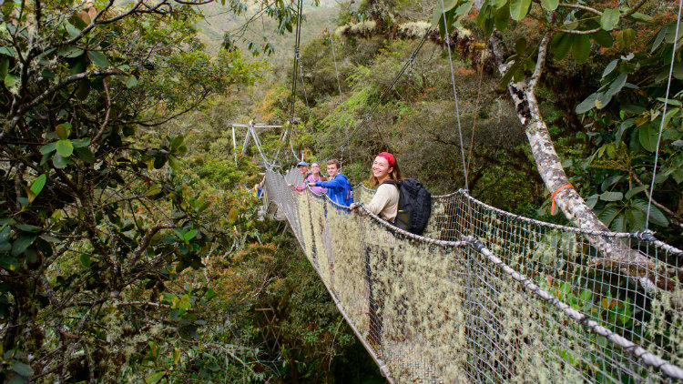 Students cross a rope bridge surround by a tropical ecosystem while in Peru.